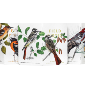 Field Notebooks (3 pack) Birds Trees by Field Notes