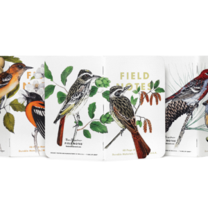 Field Notebooks (3 pack) Birds Trees by Field Notes